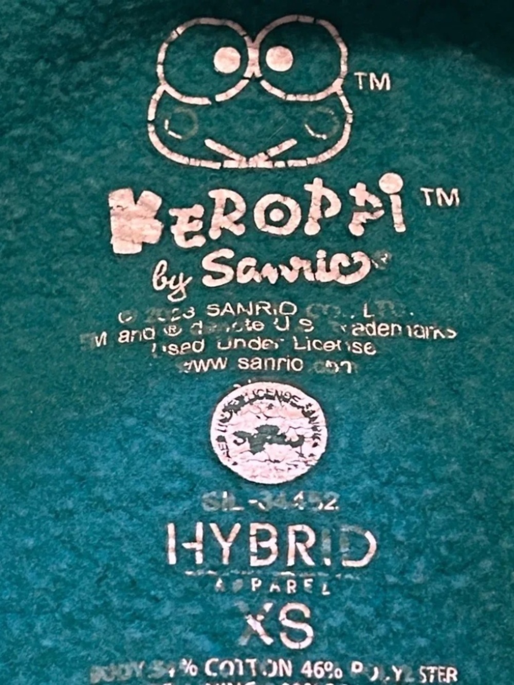 Sanrio Keroppi Graphic Hoodie Sweatshirt Fuzzy Lined Green Oversized Size XS - Picture 5 of 9